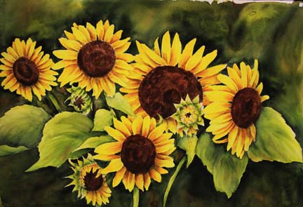 Sunflower with pen and ink in watercolor